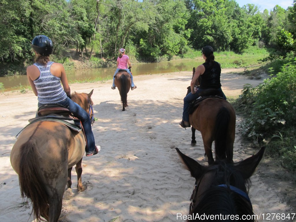 In lots of the best sand in Texas. | Horseback riding/lessons on beautiful Spring Creek | Image #4/24 | 