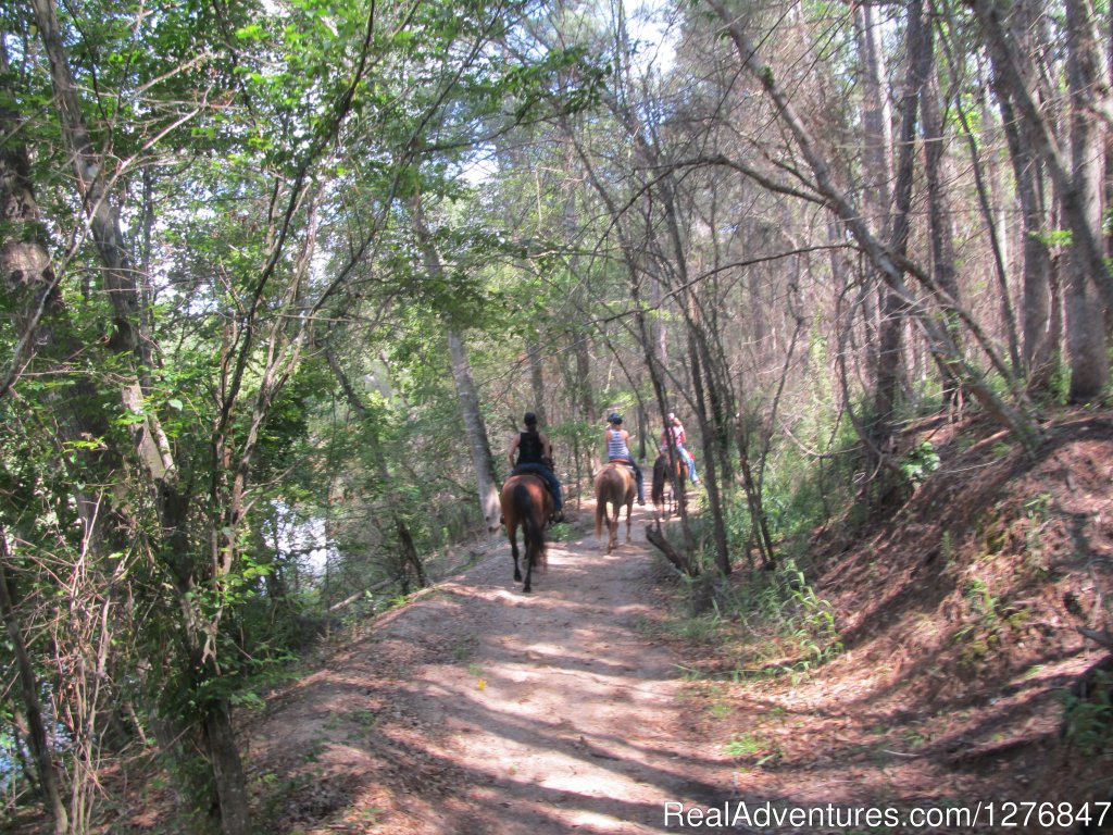 Shade or sun: | Horseback riding/lessons on beautiful Spring Creek | Image #6/24 | 