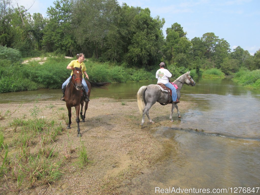 Oh well, wait till we get off I guess. | Horseback riding/lessons on beautiful Spring Creek | Image #10/24 | 