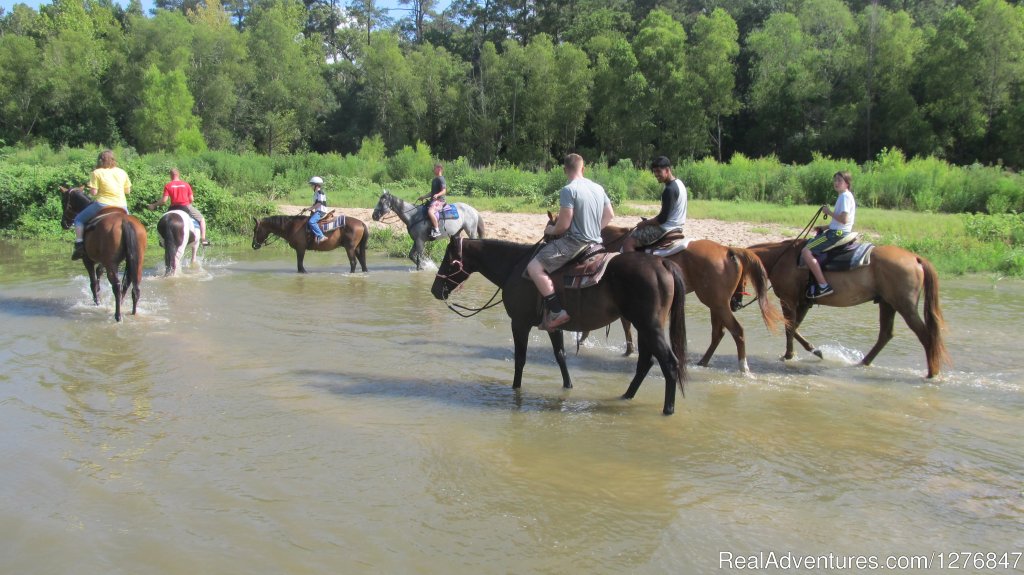 Boy that water looks cool when it's 95 degrees: | Horseback riding/lessons on beautiful Spring Creek | Image #11/24 | 