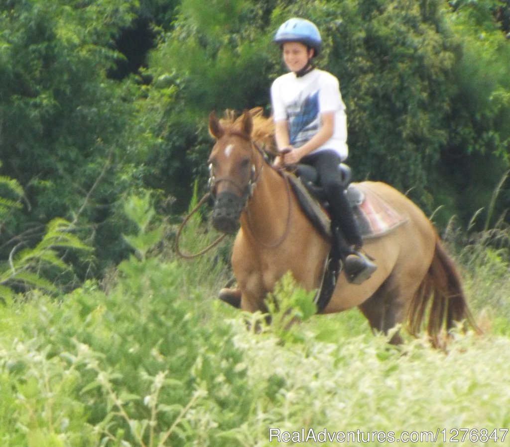Ready for a gallop: | Horseback riding/lessons on beautiful Spring Creek | Image #16/24 | 
