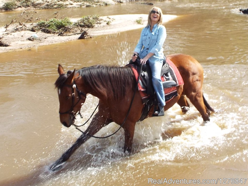 Miss Jinx sure can splash up a storm. | Horseback riding/lessons on beautiful Spring Creek | Image #18/24 | 