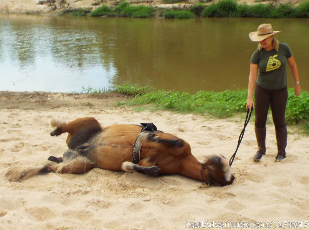 OK Miss Sunny, have a good roll: | Horseback riding/lessons on beautiful Spring Creek | Image #20/24 | 