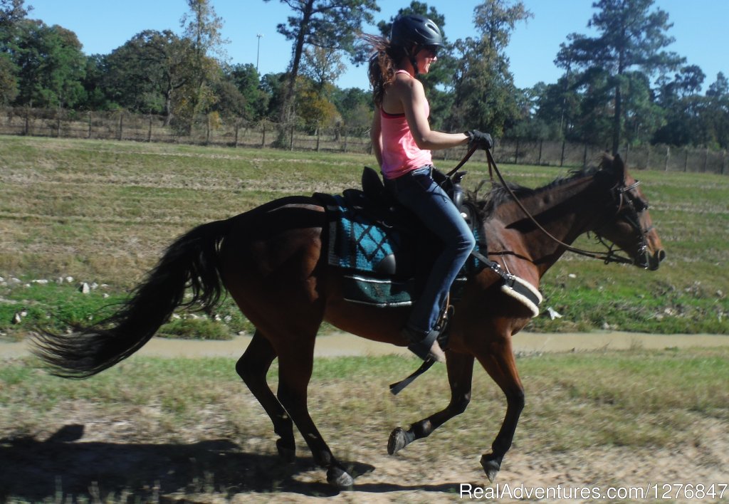Nothing like a good gallop along the bayou: | Horseback riding/lessons on beautiful Spring Creek | Image #21/24 | 