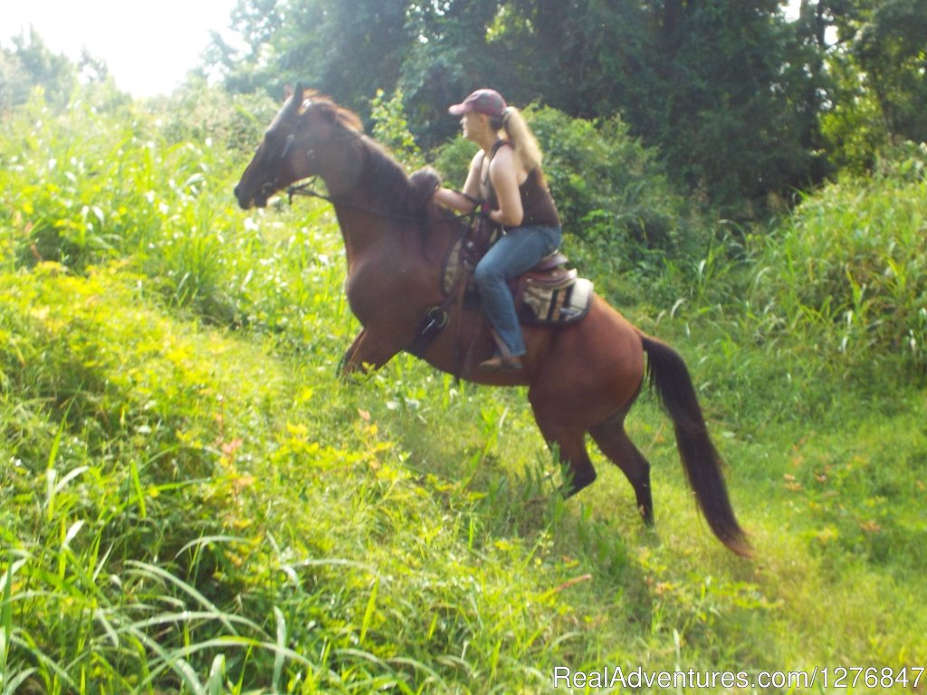 Up ya go: | Horseback riding/lessons on beautiful Spring Creek | Image #22/24 | 