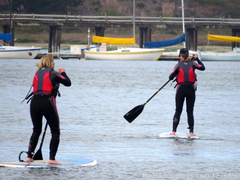 Stand Up Paddling in Princeton by the Sea