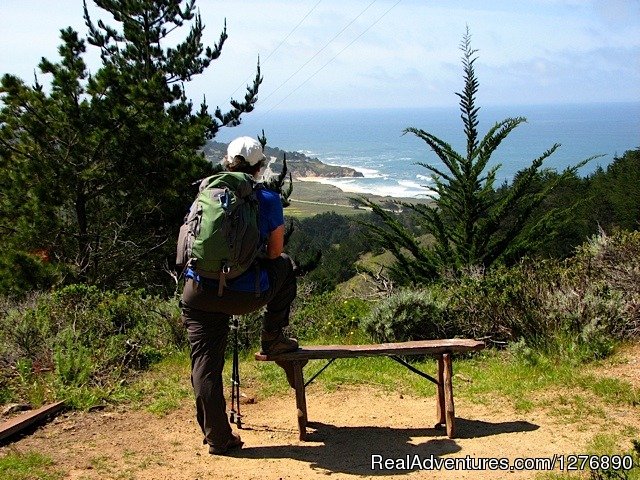 The view back to Montara Beach | Inn to Inn Hiking to San Francisco and Monterey | Image #4/17 | 