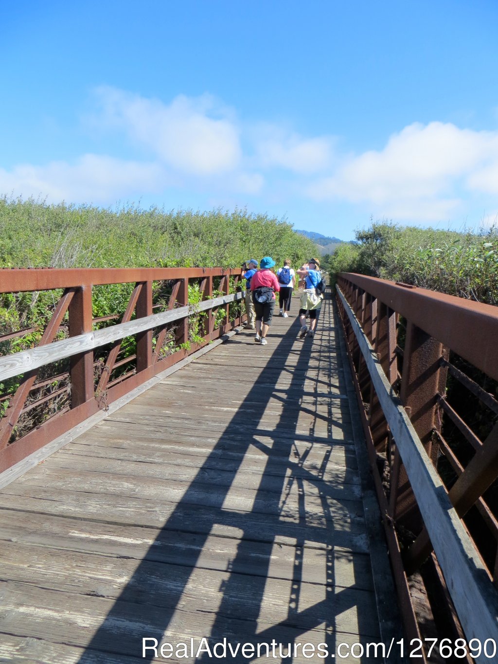 Crossing a bridge on the first day | Inn to Inn Hiking to San Francisco and Monterey | Image #3/17 | 