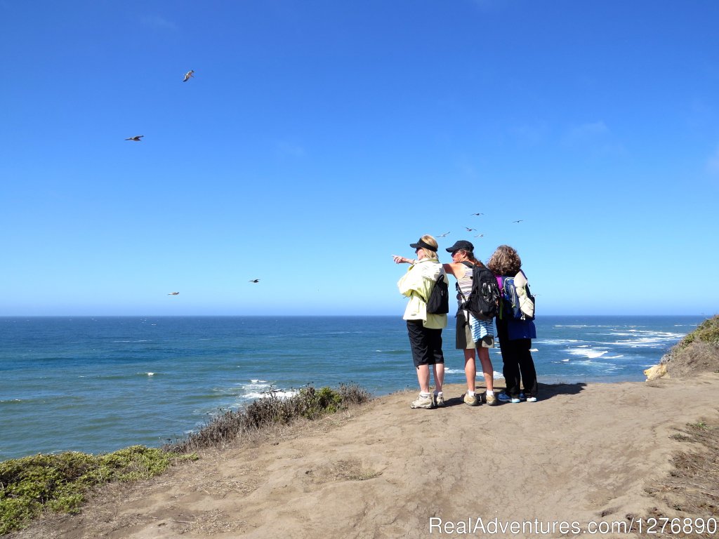 Overlooking Mavericks Beach | Inn to Inn Hiking to San Francisco and Monterey | Image #12/17 | 