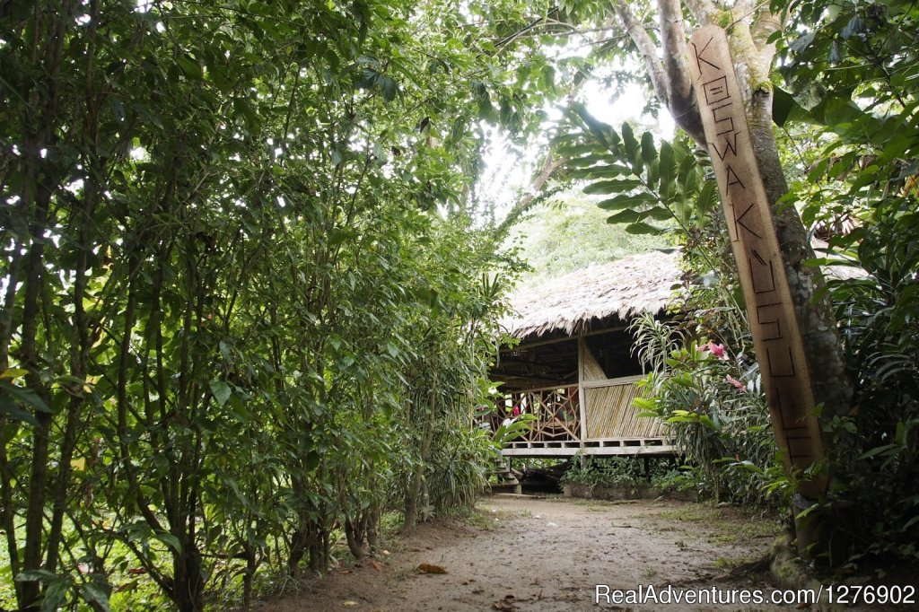 Deeper Costa Rica: An Eco-Trek Adventure | Image #4/10 | 