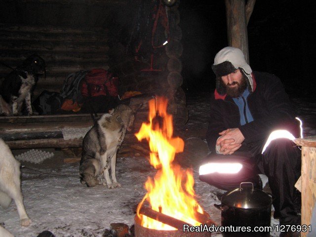 Dog sledding adventures | Image #10/12 | 