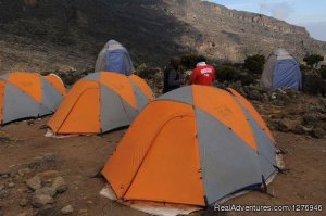 Kilimanjaro Climbs & Tanzania Safaris | Arusha, Tanzania Hiking & Trekking | Kenya Hiking & Trekking