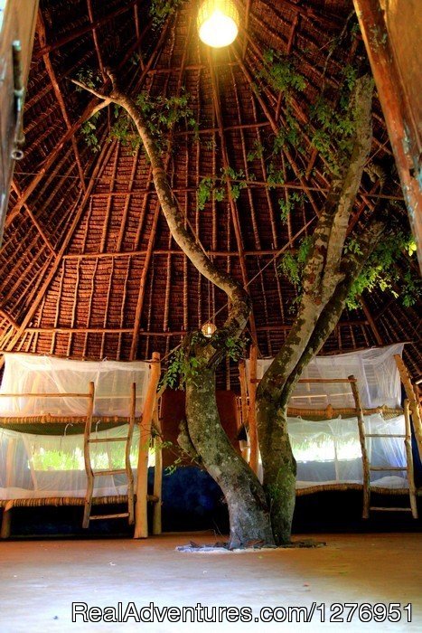 Distant Relatives Ecolodge & Backpackers | Image #10/26 | 