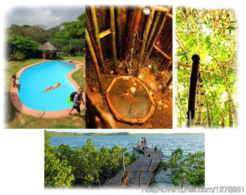 Distant Relatives Ecolodge & Backpackers | Image #3/26 | 