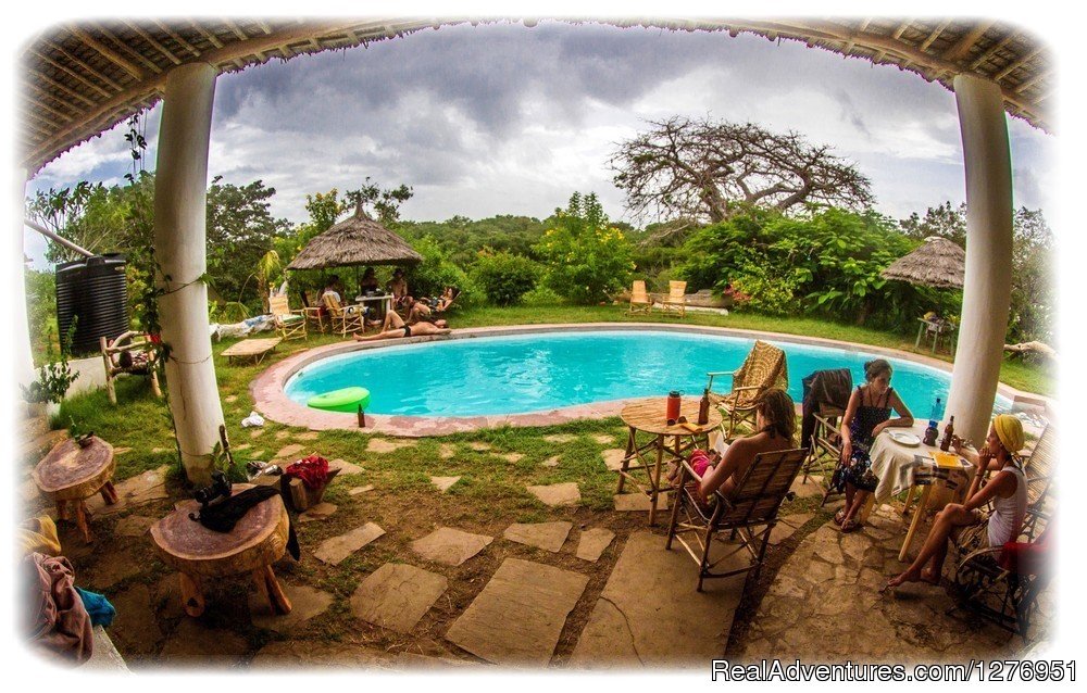 Our chillout pool area | Distant Relatives Ecolodge & Backpackers | Image #2/26 | 