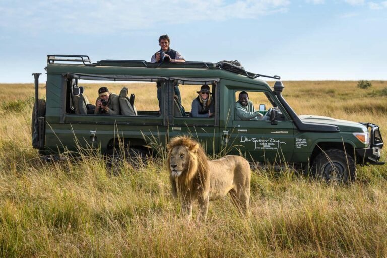 Budget Kenya safari,Safari to Kenya,Africa Travel | Image #7/7 | 