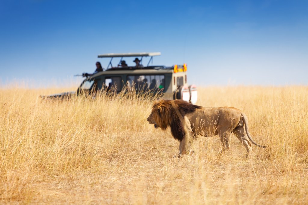 Budget Kenya safari,Safari to Kenya,Africa Travel | Image #5/7 | 