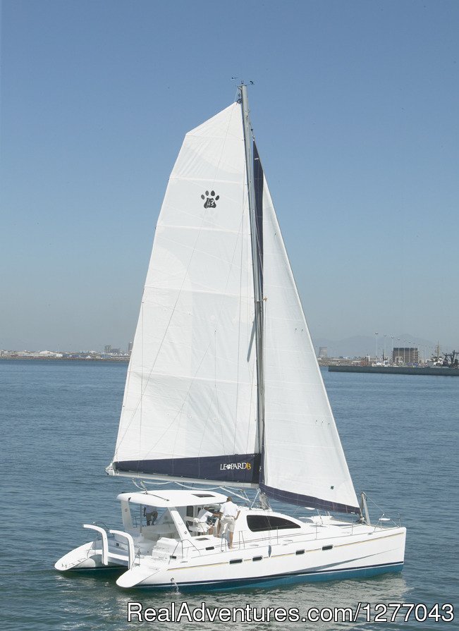 sailboat charters puerto rico