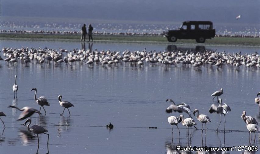 Lake Nakuru | 9 Days Kenya Flying Safari | Image #4/15 | 
