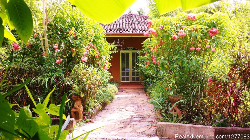 Private Duke Villa | Eco Luxury Costa Rica Home | Image #3/12 | 