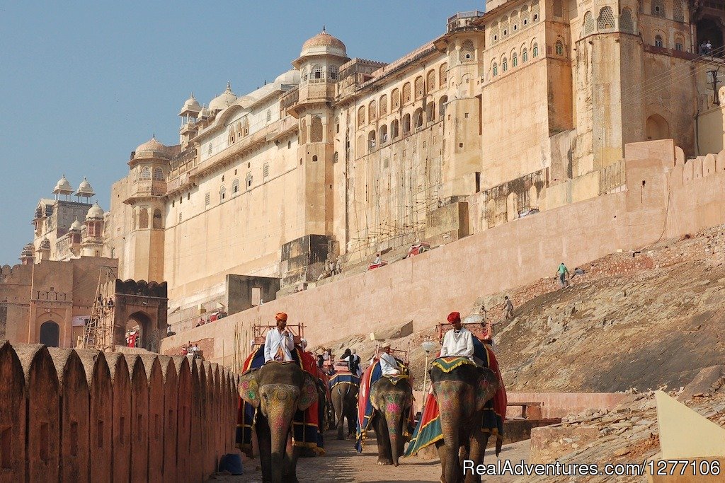 Amer Fort - Jaipur | 15-Day Heritage & Culture Tour of India | Image #6/11 | 