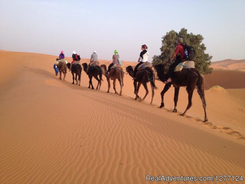 Camel-Trekking in Merzouga | Tours Via Morocco | Marrakesh, Morocco | Sight-Seeing Tours | Image #1/25 | 