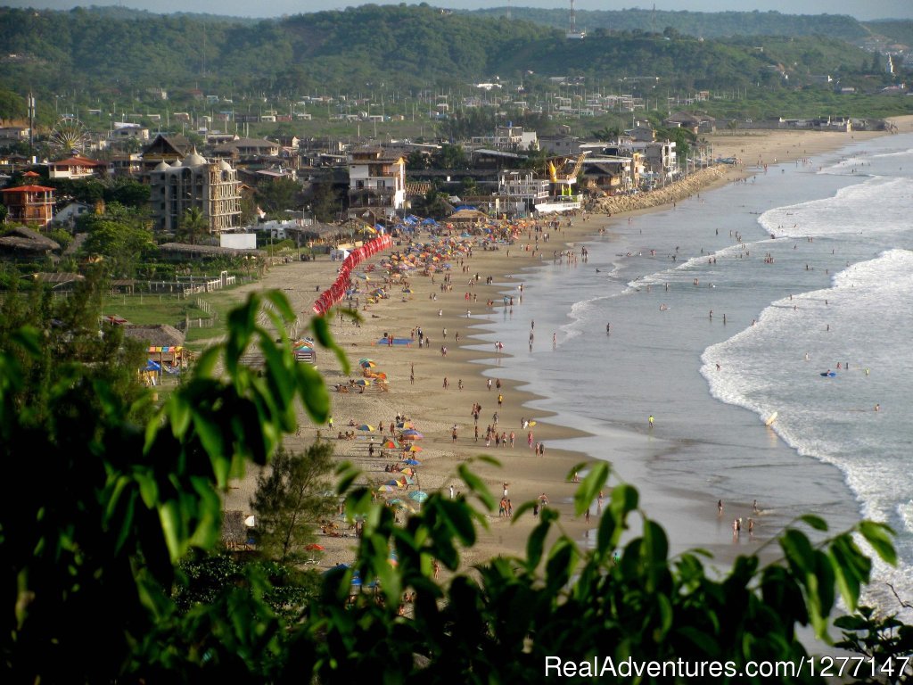 Yoga and Surf in Ecuador | Image #5/5 | 