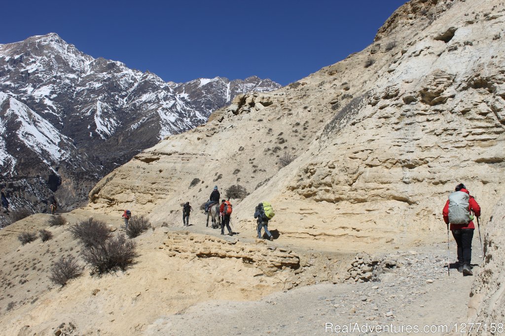 Trekking In Nepal Himalays | Image #2/4 | 