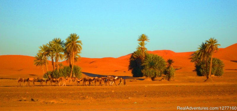 Deep Morocco Tours. Holidays, Private Tours | Image #3/5 | 