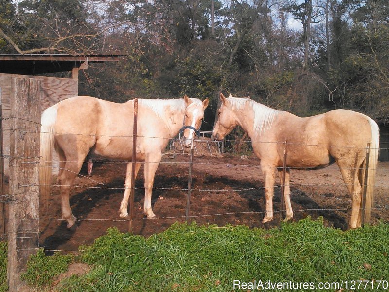 Horse Lovers Let The Fun Begin at Loveland Ranch | Image #6/8 | 