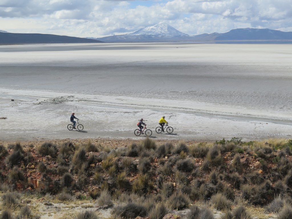 Tour To Laguna De Salinas | Day Biking Trip To Laguna De Salinas - Arequipa | Image #2/8 | 