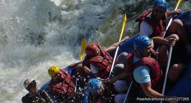 Rafting | Himalayan Adventure Institute | Image #5/11 | 