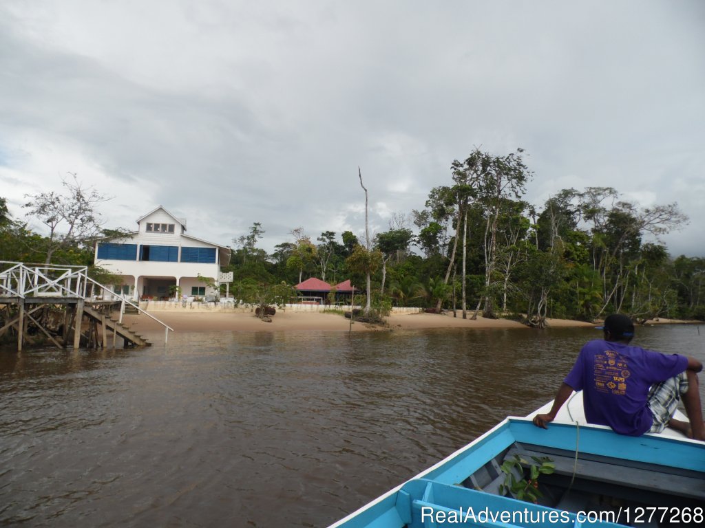 Boating to Sloth Island Nature Resort Guyana | 3 Guianas: Guyana, Suriname and French Guiana | Image #2/7 | 