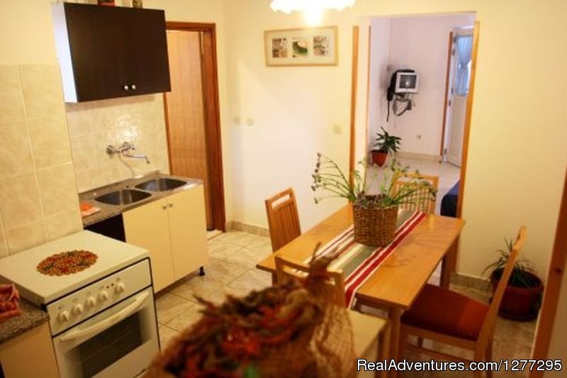 Apartments Irena - ''Garden Paradise'' apartment | Experience the magic of the Island Hvar | Image #2/25 | 