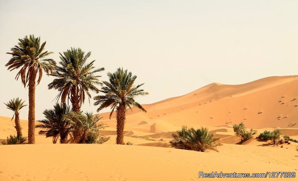 Erg Chebbi Merzouga Morocco | Desert Morocco Tours Sarl | Sahara Desert Trips | Merzouga, Morocco | Sight-Seeing Tours | Image #1/16 | 