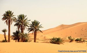 Desert Morocco Tours Sarl | Sahara Desert Trips