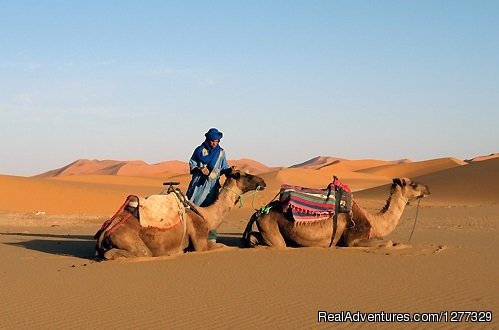 Camel Trekking Morocco | Desert Morocco Tours Sarl | Sahara Desert Trips | Image #11/16 | 