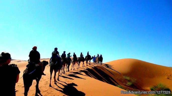 Sahara Camel Trek Caravan Morocco | Desert Morocco Tours Sarl | Sahara Desert Trips | Image #14/16 | 