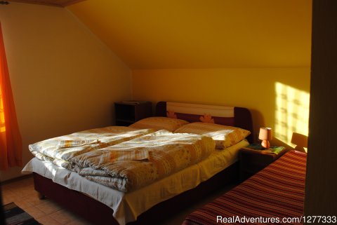 One Of Two Bedrooms In Attic Aparment