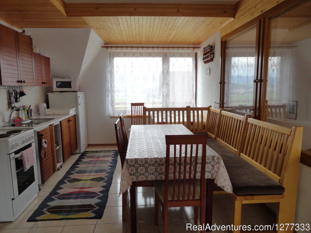 upper Apartment Kitchen | Apartment Tania - Slovakia Tatras Mountains | Image #6/13 | 