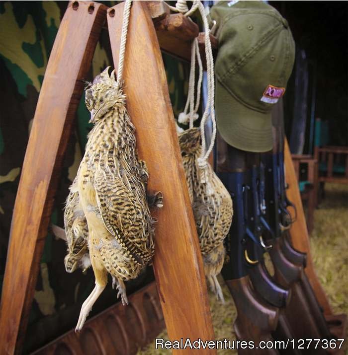 Perdiz (Partridge) Hunt | Dove Hunt in Cordoba, Argentina | Image #9/23 | 