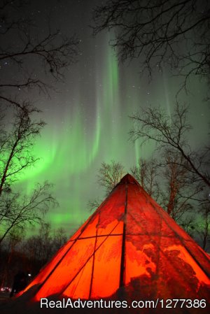 Northern Lights Experience -  Abisko Guest House