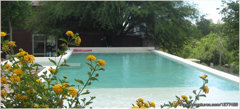 Swimming Pool - Entre Rios Lodge | Buenos Aires & Entre Rios Fishing Trips | Image #14/25 | 