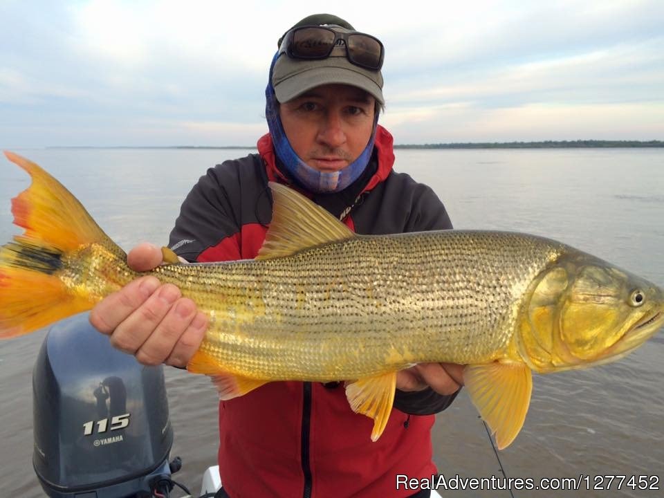Buenos Aires & Entre Rios Fishing Trips | Image #22/25 | 