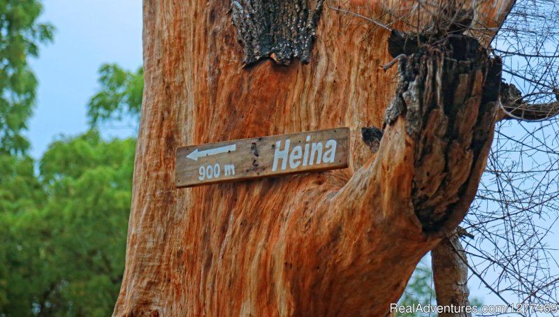 Heina Nature Resort and Yala Safari | Image #3/14 | 