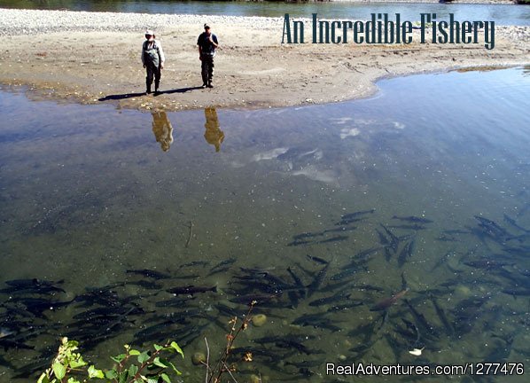 An incredible remote river and thriving Alaska fishery | Wilderness Place Lodge | Image #5/25 | 