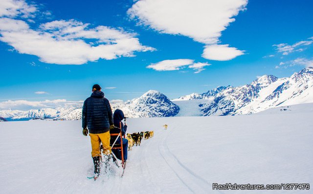 Glacier Dog-Sledding add-on! | Wilderness Place Lodge | Image #16/25 | 
