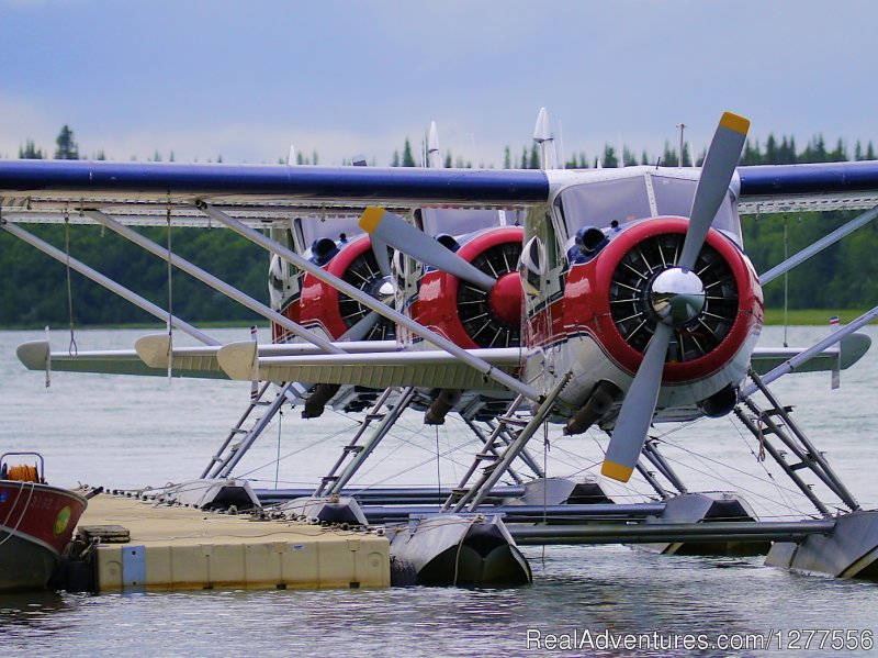 Our fleet of floatplanes | Catch the Rainbow you've been Dreaming about | Image #12/22 | 