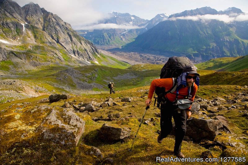 Backpacking Denali National Park | Alaska Alpine Adventures | Anchorage, Alaska  | Hiking & Trekking | Image #1/5 | 