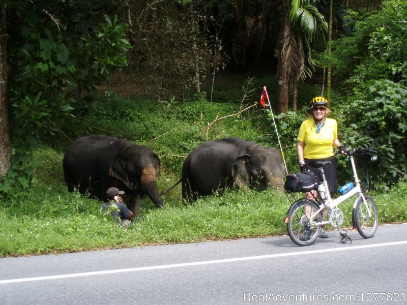 Ya never know what you will see | Pedalers | Image #3/8 | 